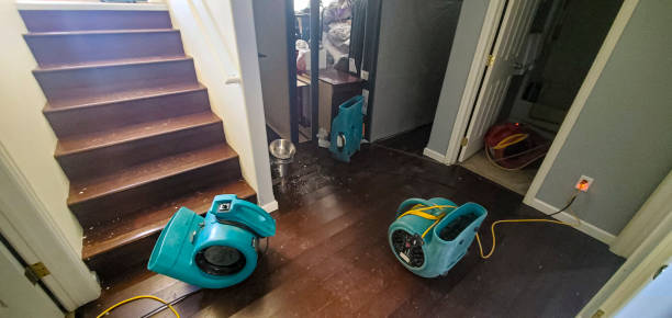 Best Water damage restoration near me  in Diablo Grande, CA