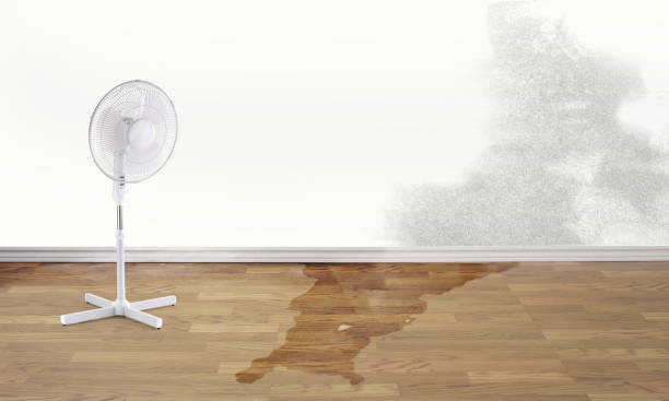 Best Water damage restoration services  in Diablo Grande, CA