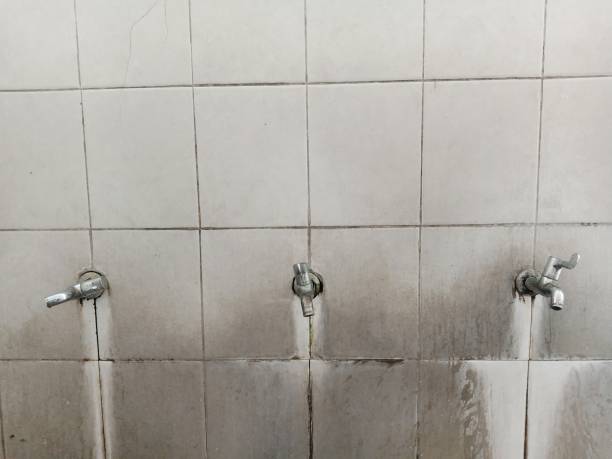  Diablo Grande, CA Water damage restoration Pros