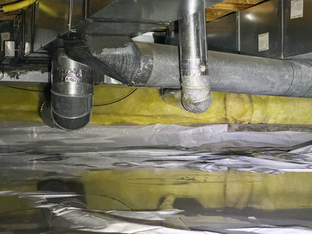Best Water damage contractors near me  in Diablo Grande, CA