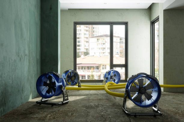  Diablo Grande, CA Water damage restoration Pros