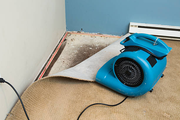 Best Residential water damage restoration  in Diablo Grande, CA